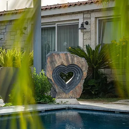 Hotel Casa Luna - Adult Only