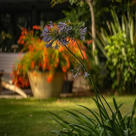 Casa Luna - Adult Only Hotel Alacati