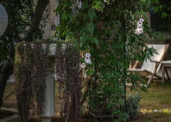 Casa Luna - Adult Only 호텔