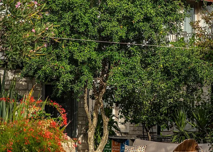 Casa Luna - Adult Only * 알라카티