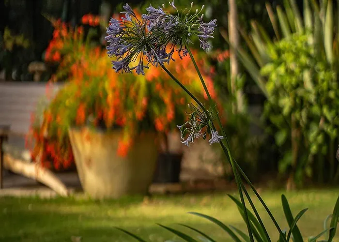 Casa Luna - Adult Only 호텔 알라카티